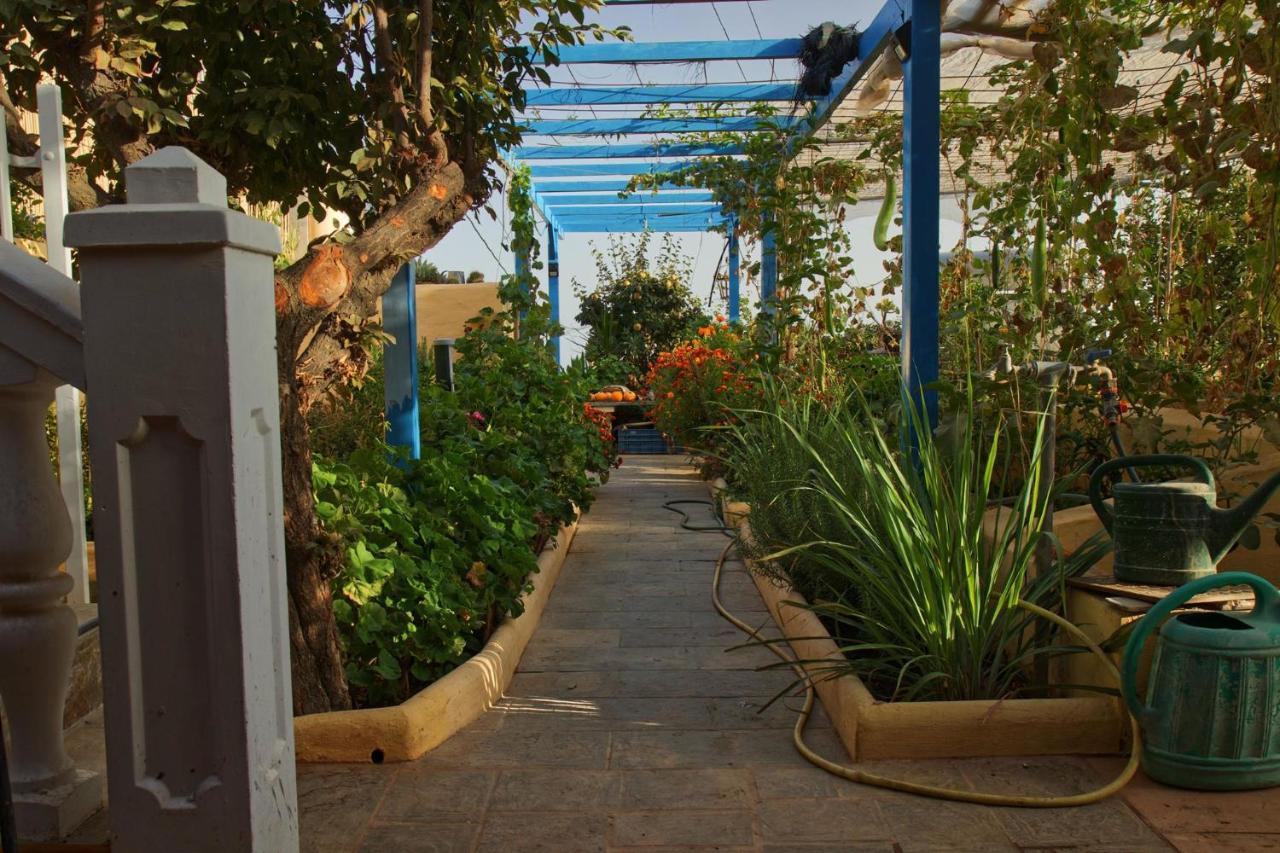 Finca Cortez Apartment San Bartolomé Exterior photo